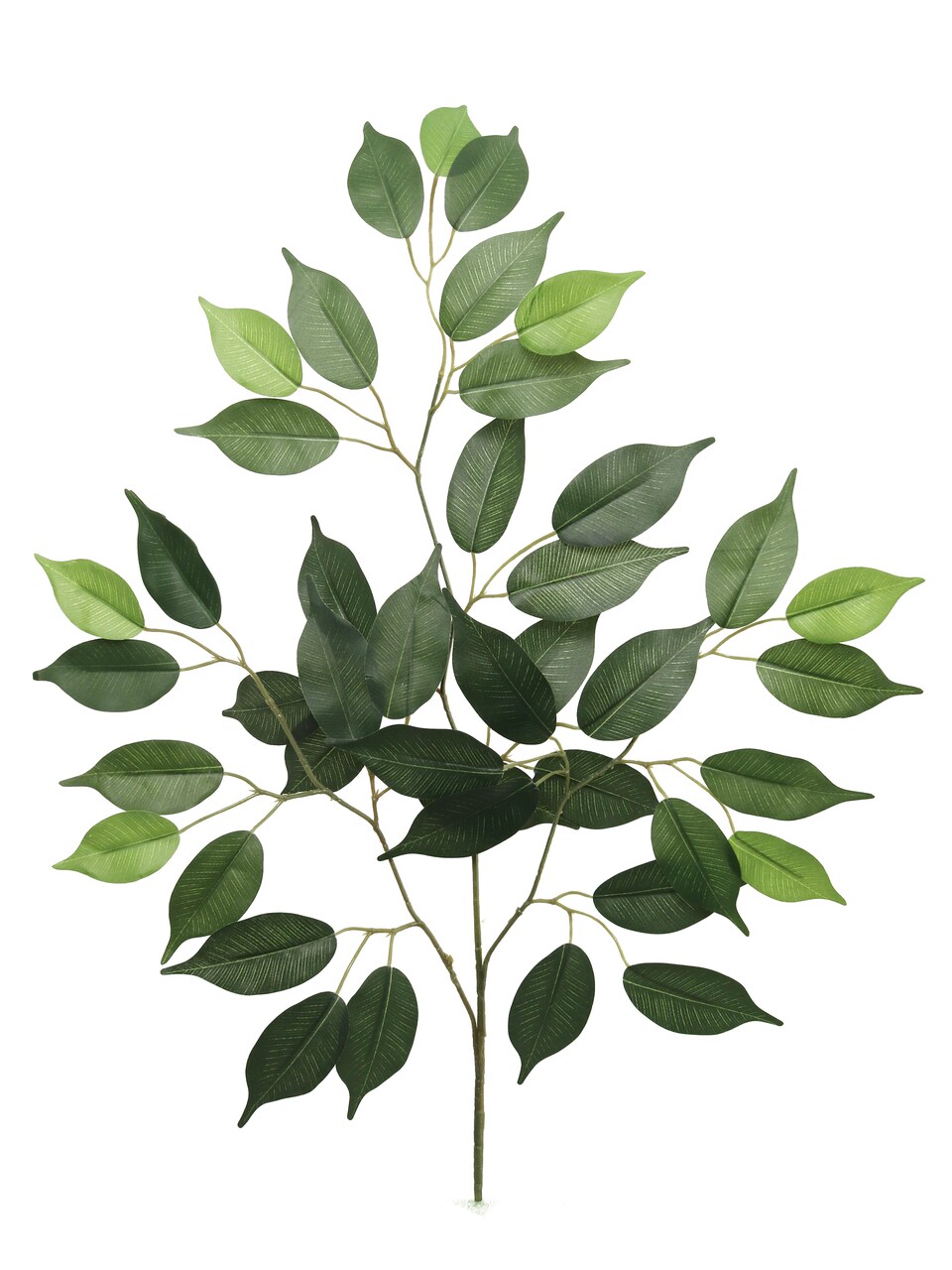 12-Pack: Green Ficus Spray with 42 Silk Leaves by Floral Home®